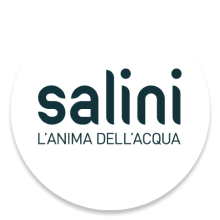 Salini